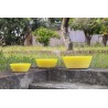 Scented candles with lemon essential oils and citronella essence – Sapori e Profumi di Positano
