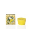 Scented candles with lemon essential oils and citronella essence – Sapori e Profumi di Positano